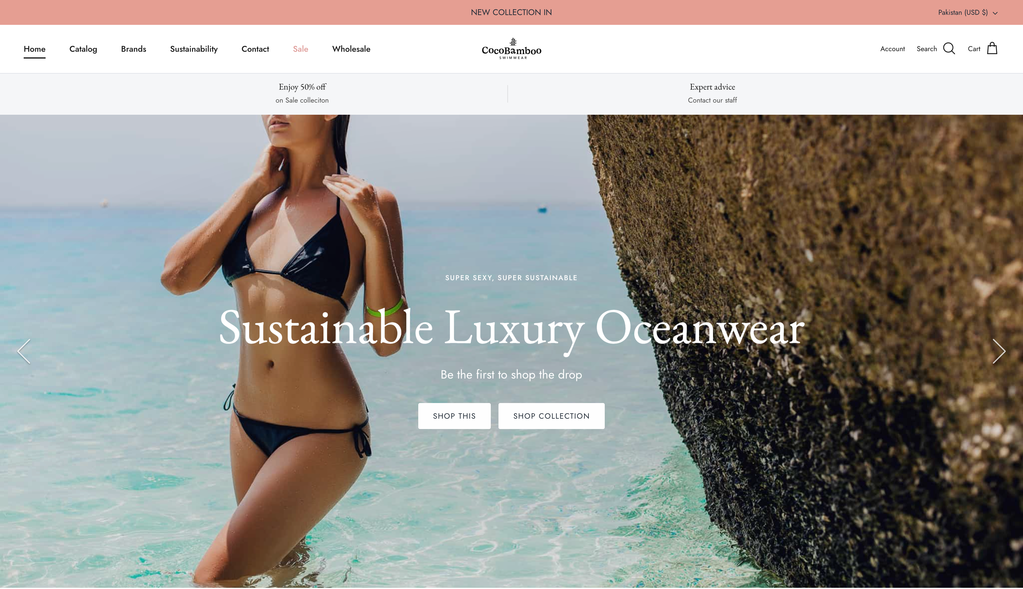 Shopify Store Setup