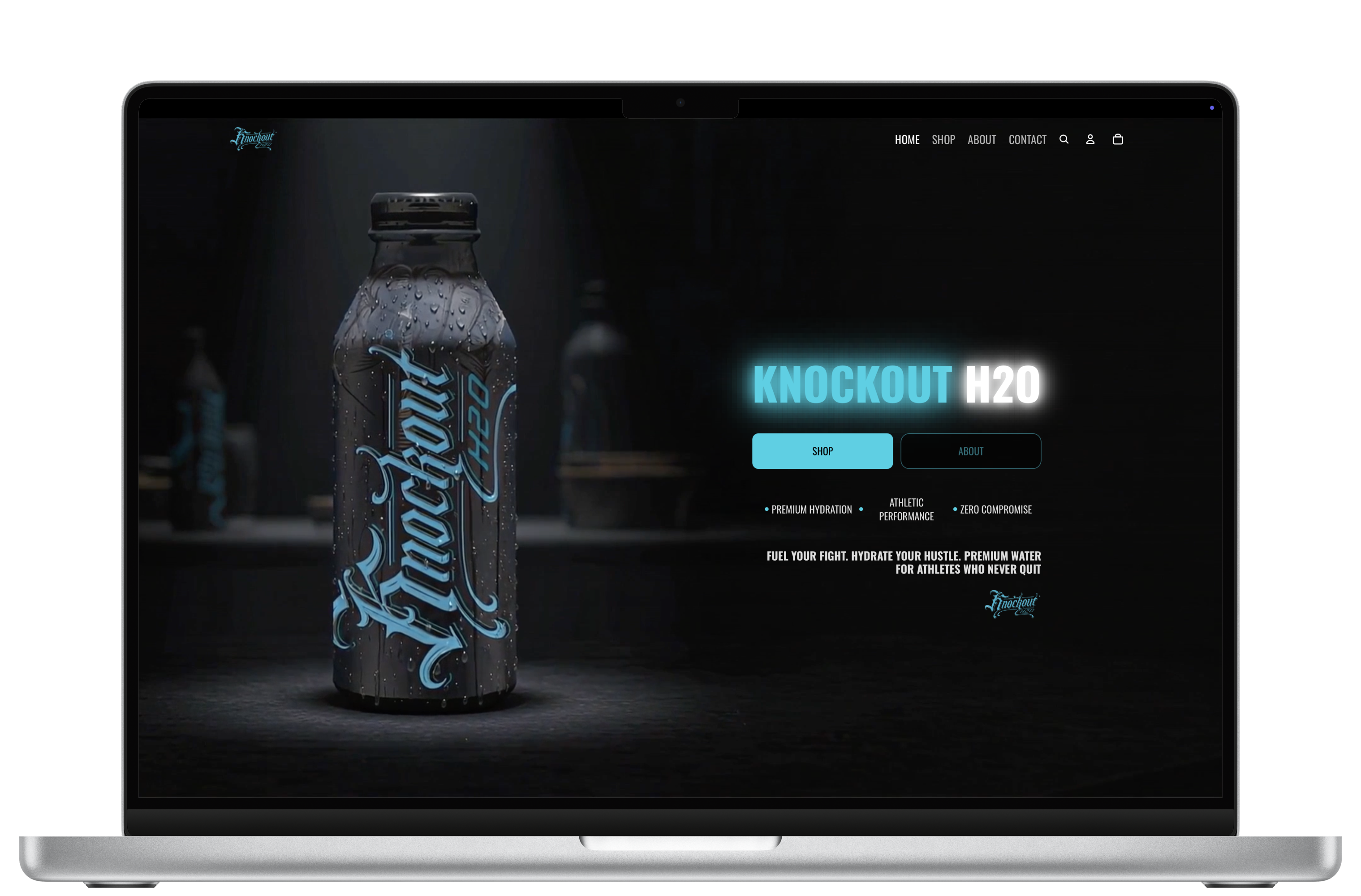 Shopify Store Setup
