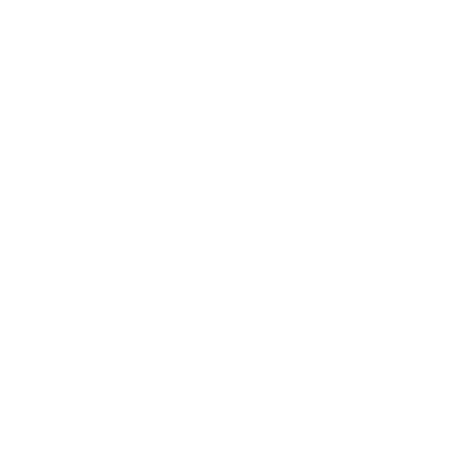 languages translation icon